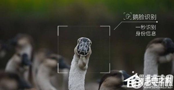 开始养鹅了？腾讯：“AI生态鹅厂”年内将在贵安新区投产运行