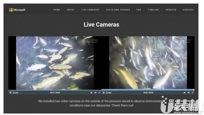 微软海底服务器影像曝光：鱼类非常喜欢