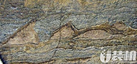 迄今最古老化石可能只是一块普通石头！这是一场乌龙？