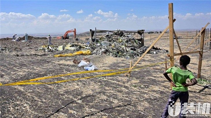 埃航波音737 MAX在起飞过程中遭鸟击才遇难？