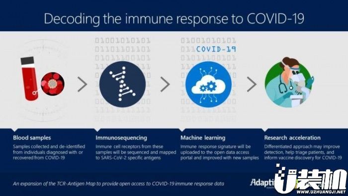 微软公司和Adaptive协作 推动新冠病毒预苗的科学研究工作中