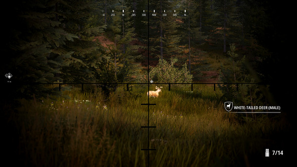 模拟狩猎2安卓版
