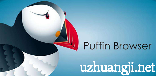 puffin浏览器汉化版