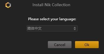 Nik Collection2021最新版