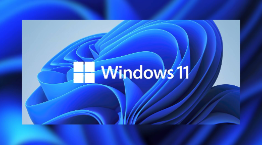 windows11不允许安装软件怎么办-不允许安装软件解决方法