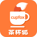 茶杯狐cupfox免费版