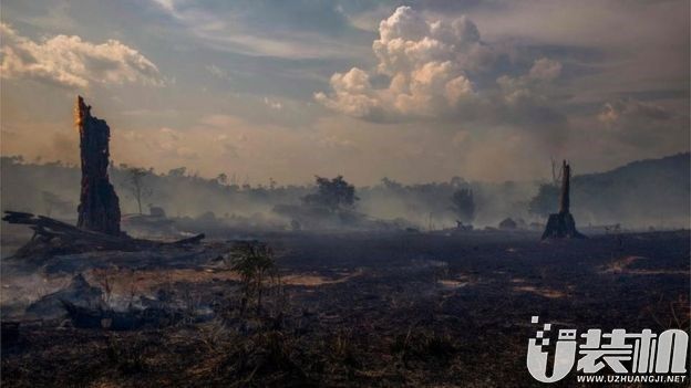 地球之肺亚马逊火灾仍在继续，南美多国商讨应对措施